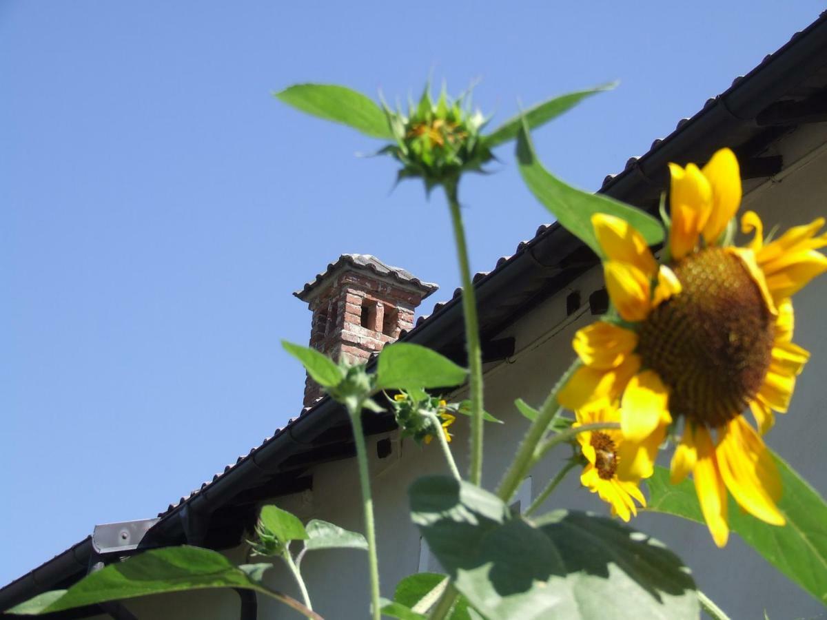 La Meridiana, Monolocale In Cascina Ristrutturata *